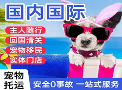 泰州航空托运国际宠物托运 【国